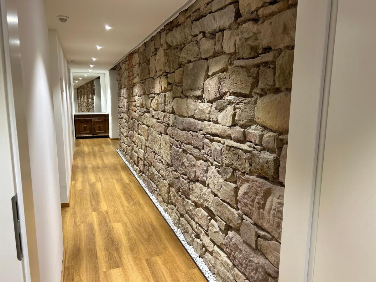 Historical Luxury Homes - Luxus Familien Suite Freiburg im Breisgau Kültér fotó