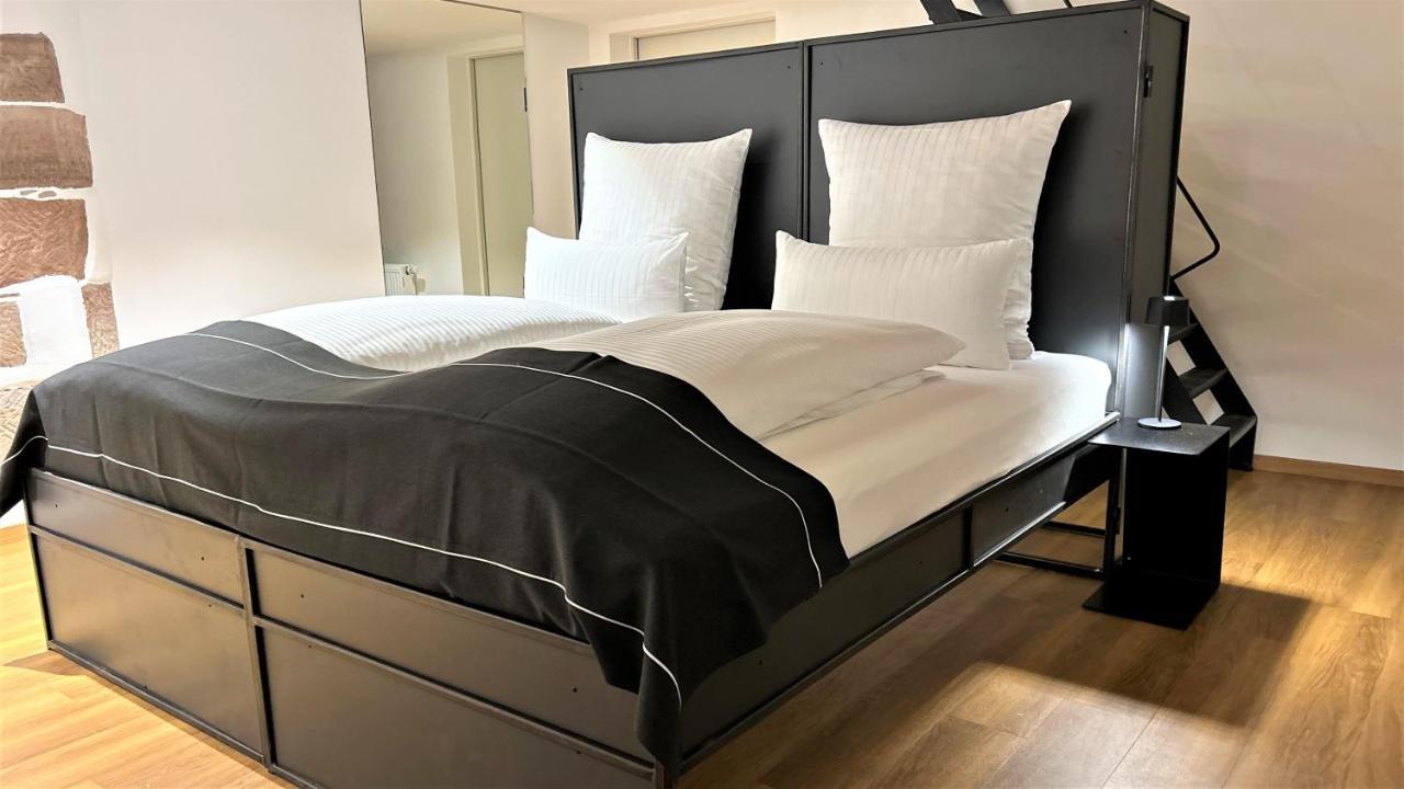 Historical Luxury Homes - Luxus Familien Suite Freiburg im Breisgau Kültér fotó